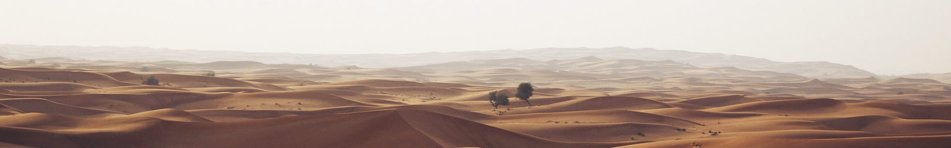 ݰӿƼ޹˾